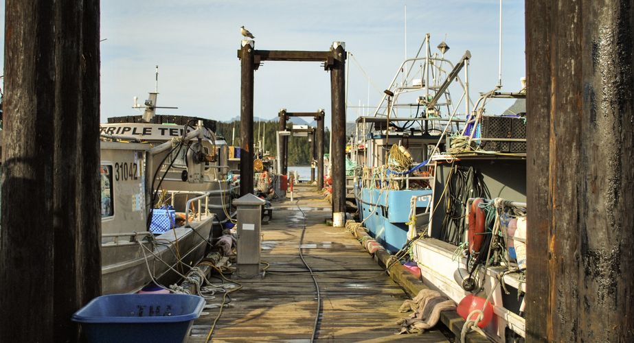 28 38 Canada 122 28 38 Canada 122